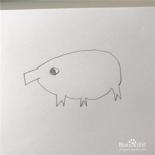 小猪的简笔画画法