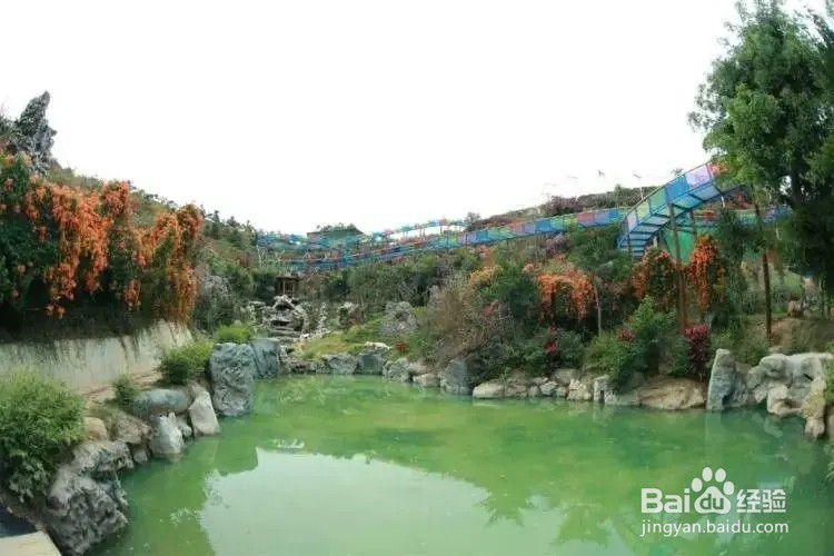高州凤凰园有什么好玩的