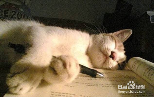 困了如何强行保持清醒 让大脑保持清醒的方法