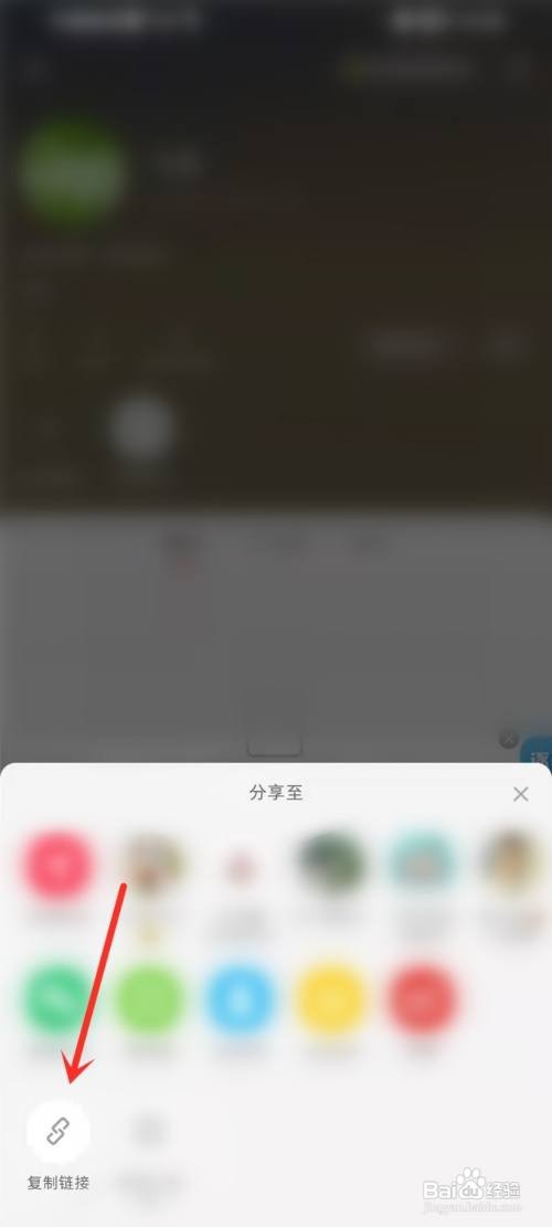 小红书主页链接怎么复制