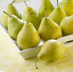 如何挑选新鲜、好吃的食材