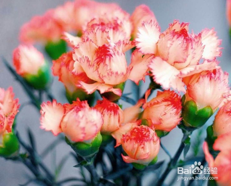 恋人之间怎样相处