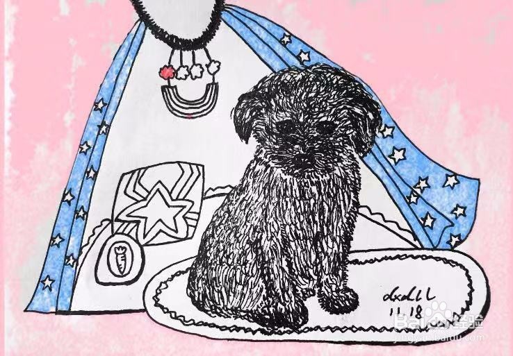 茉莉蜡笔手绘之小泰迪犬