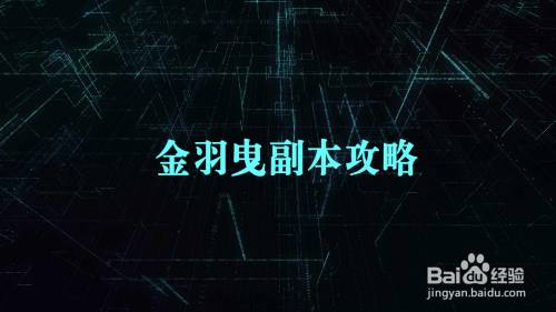 金羽曳副本攻略