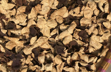 宝宝出生时保存新会陈皮，待女儿出嫁做嫁妆