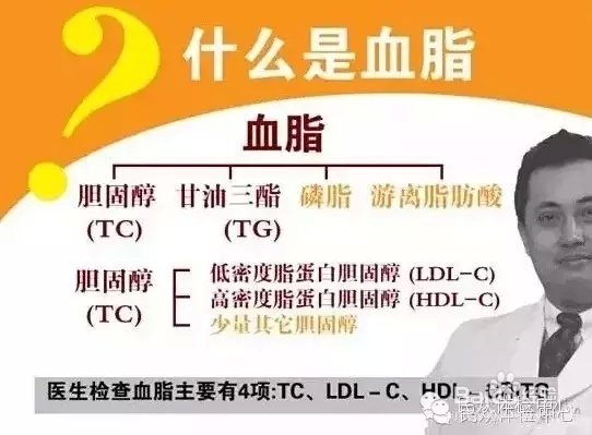 不能忽视的‘隐形杀手’--高血脂