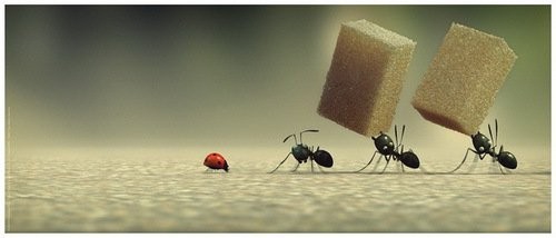 怎样和自己不喜欢的人和平共处？