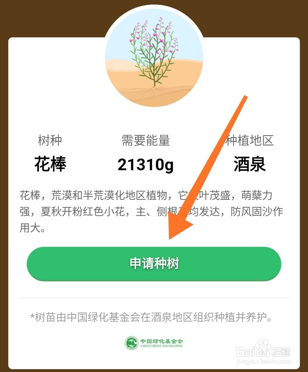蚂蚁森林怎么种树
