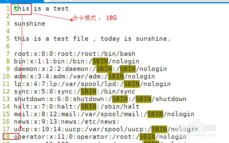 vim编辑器命令模式移动和复制操作