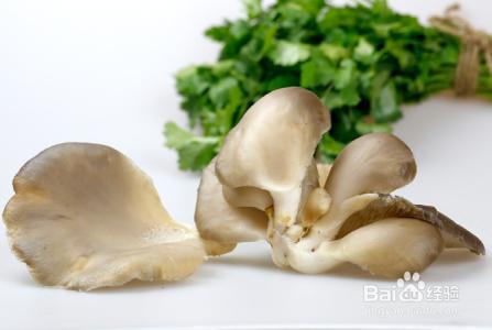 平菇不同食用搭配效果真是相差太大了!