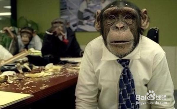 11步让你成为更优秀的程序员