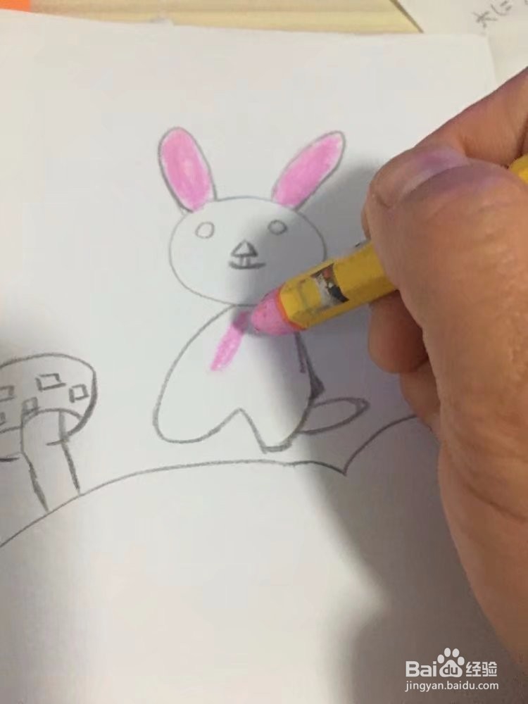 小兔的简单画法