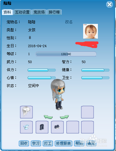 第6大陆如何装扮自己的宠物