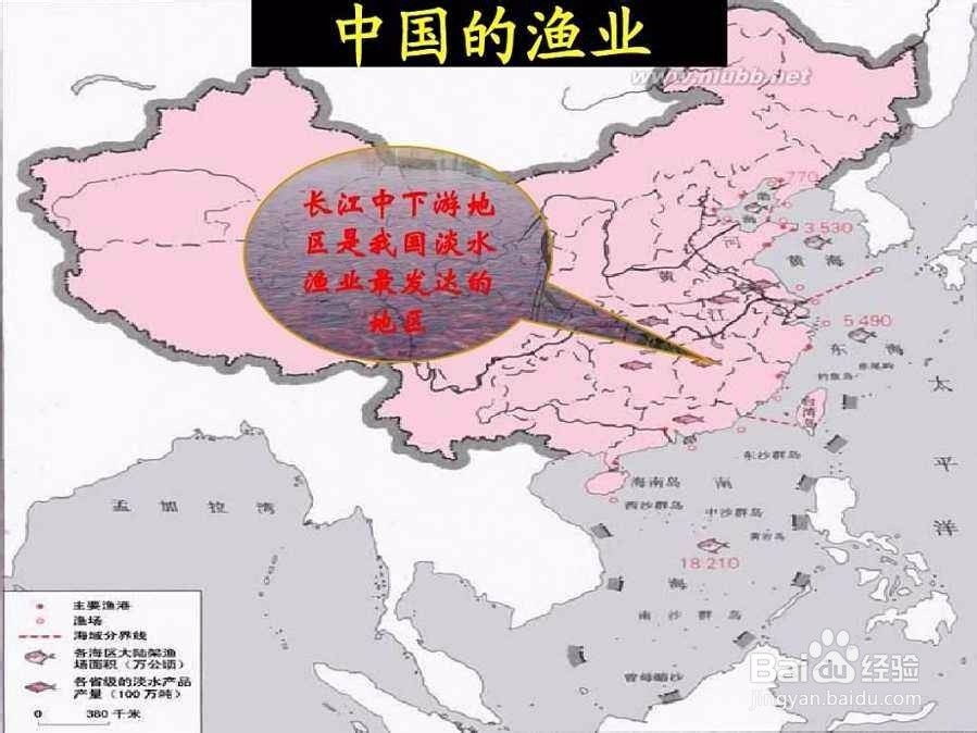 如何因地制宜发展农业