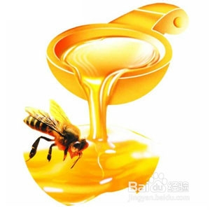 哪几种食物能让你吃出健康肠道