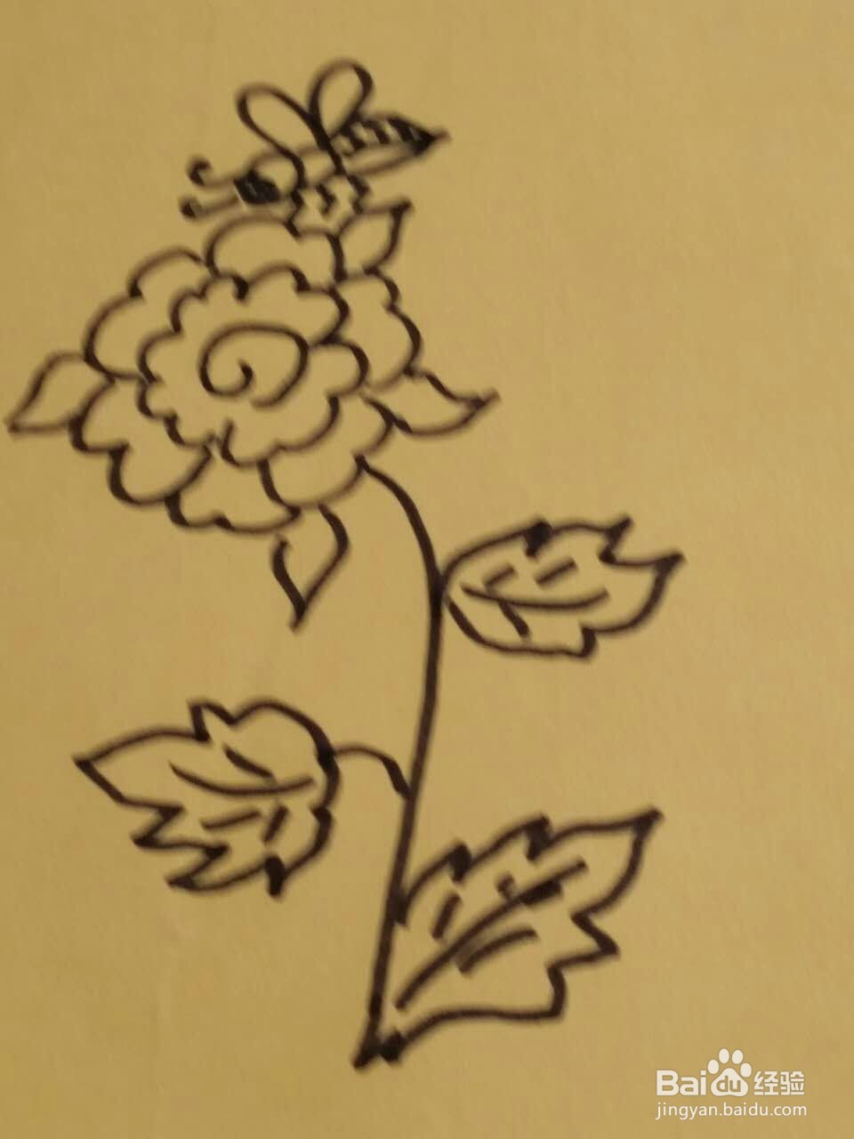 勤劳的小蜜蜂简笔画画法