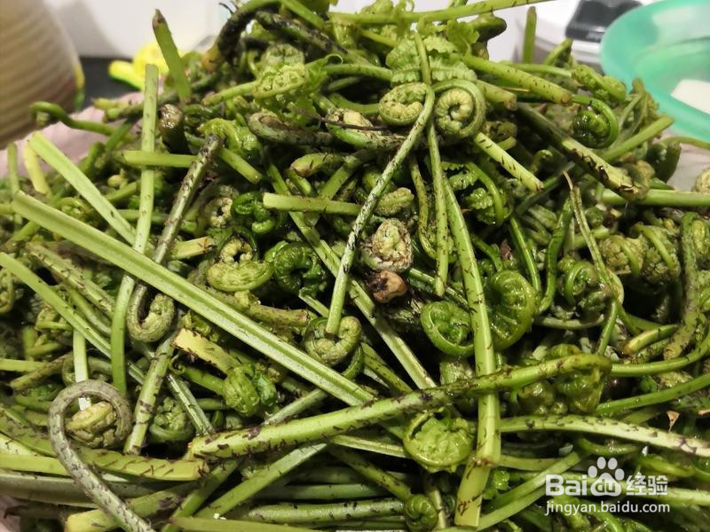 江南特色菜:蕨菜炒腊肉的做法