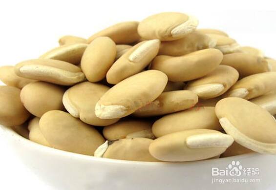 白芸豆种子怎样泡种催芽