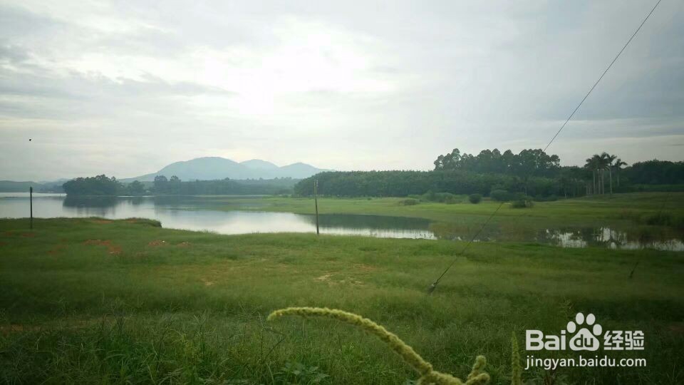 【校园指南】海南大学——云月湖篇