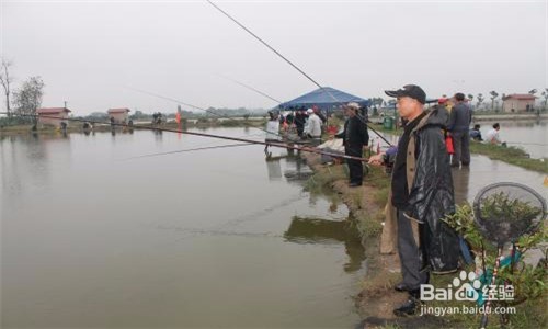 钓鱼要注意哪些地方？