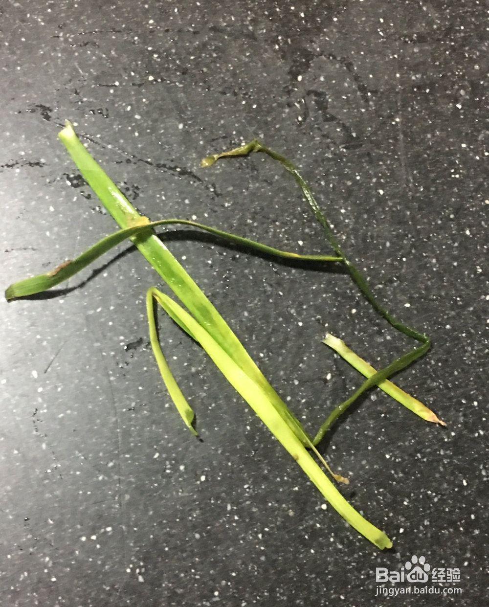 怎样做好吃的韭菜炒鸡蛋