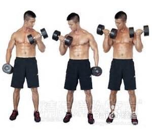 徒手健身之肱二头肌、肱三头肌速成