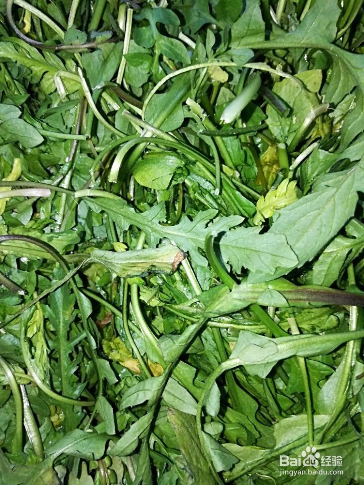 冬季荠菜炒鸡蛋的具体做法