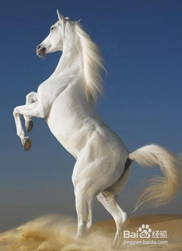 脑筋急转弯——生活中的猜谜（1）