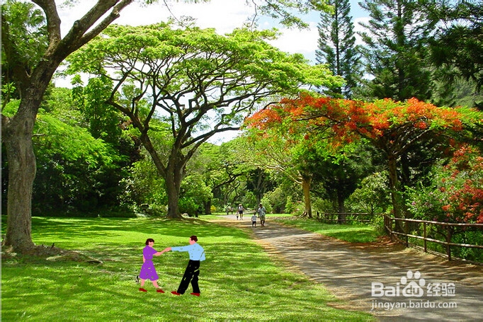 如何编辑swf动画?给swf动画换背景-百度经验
