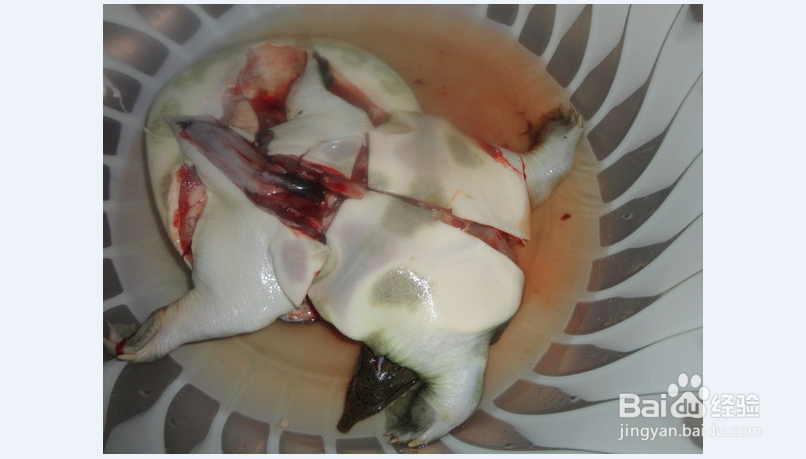 红烧甲鱼鸡块煲怎么烧