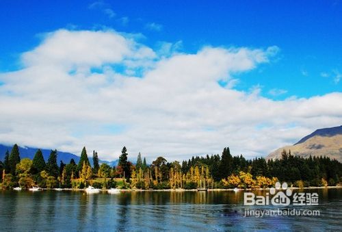 碧海公主号新西兰十七日游