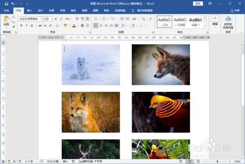 word中多张图片排版