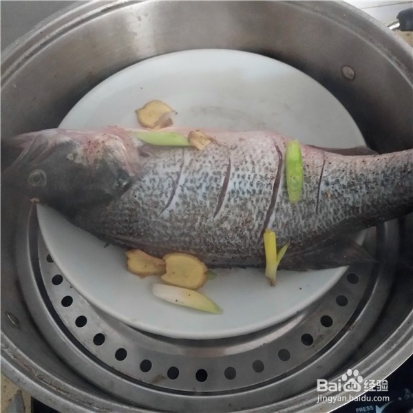 清蒸鲈鱼的做法