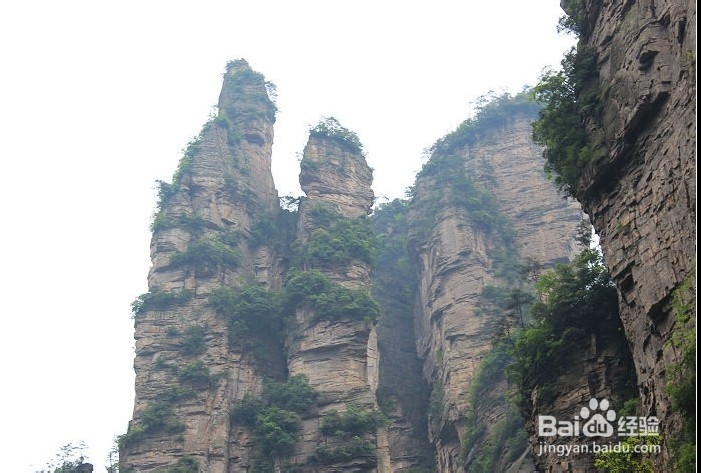 松原到张家界自驾游