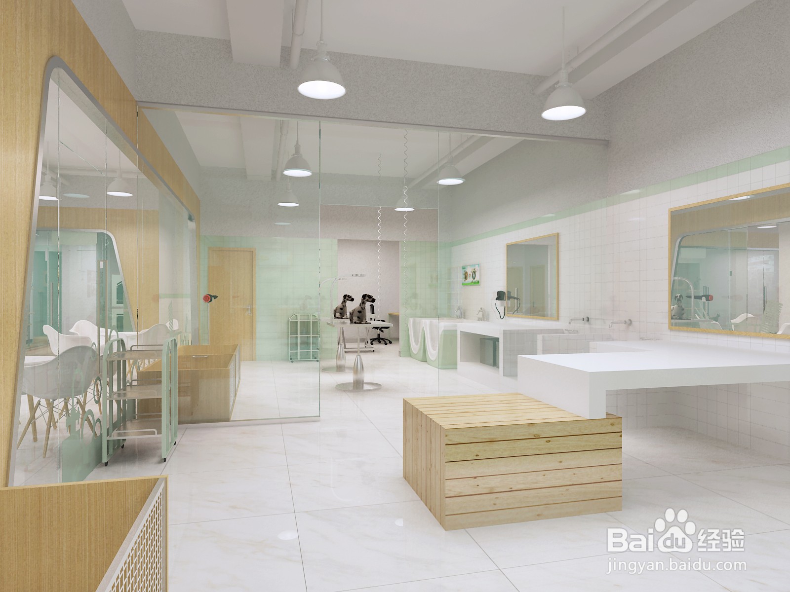 开个宠物店一月能赚钱？