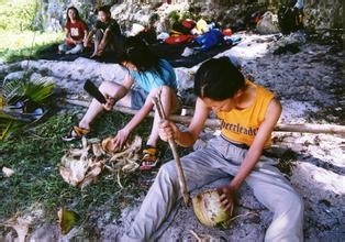 如何打开椰子