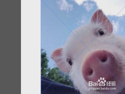 adobe illustrator cs6中如何嵌入图片