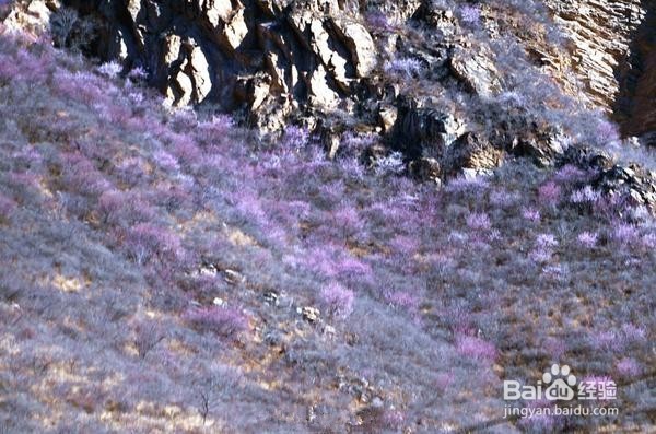 周末父母,不用再担心没地方带孩子去了!