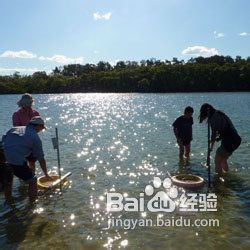 春节旅游澳大利亚名城经典7天游
