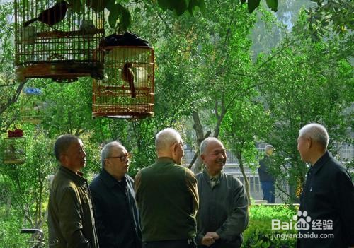 老年人夏季如何养生？