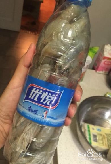 活虾怎么保存在冰箱