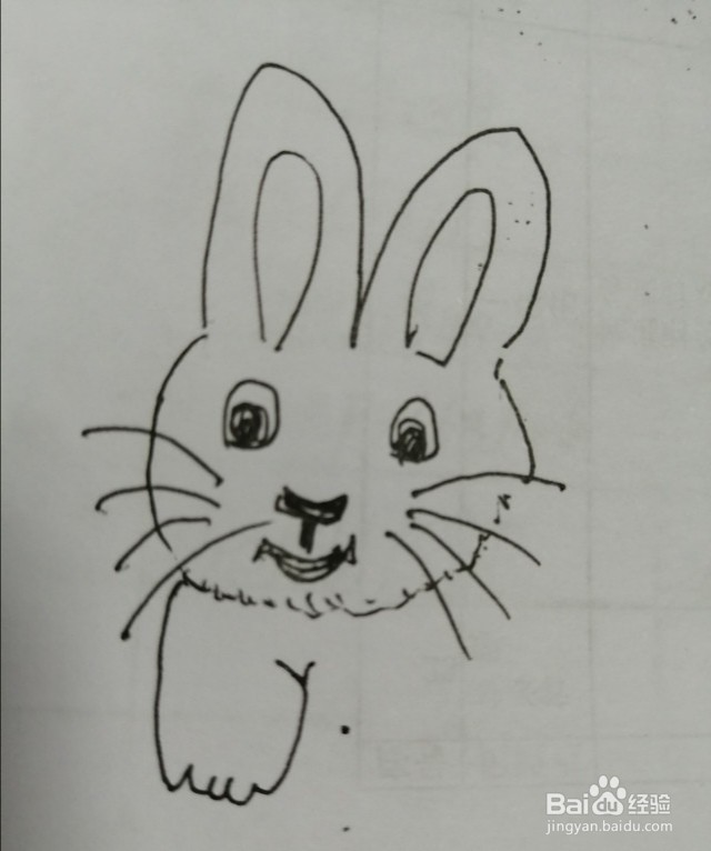 简笔画小白兔怎么画