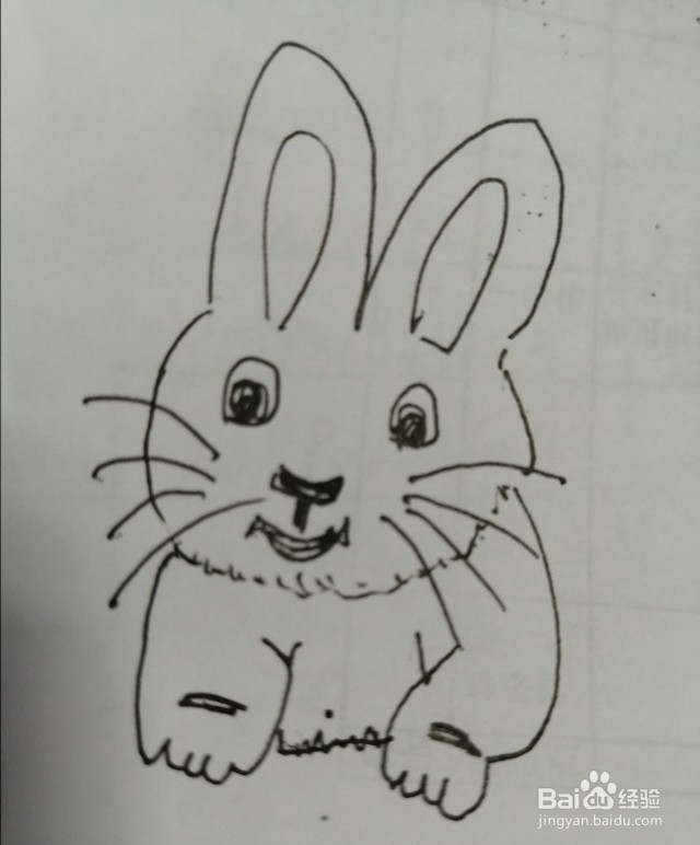 简笔画小白兔怎么画