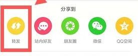 抖音怎么看自己转发的作品