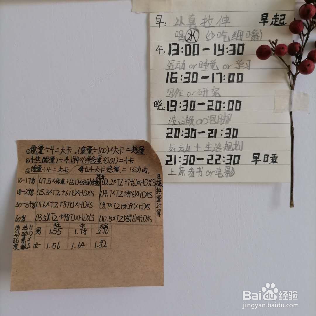 乡间的暑假生活攻略