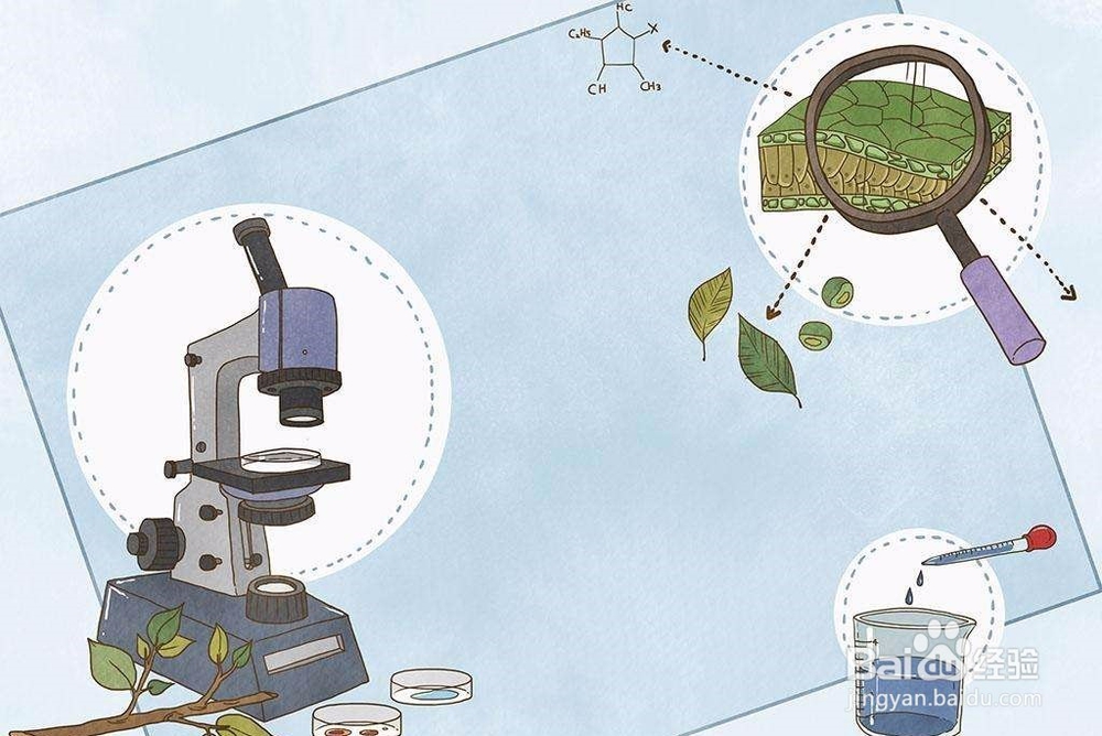 如何从文化类节目中获取知识
