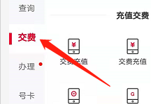 安卓版联通如何查询已办理的宽带业务