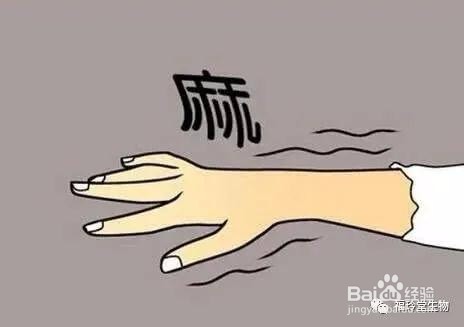 六个小知识帮助你改善血液循环