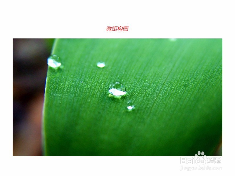 手机拍照怎么拍比较好看，要怎么构图呢？