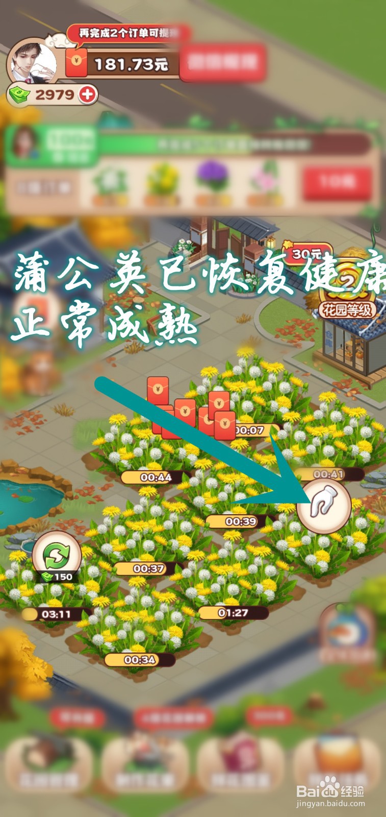 江南花园怎么除蒲公英里的虫
